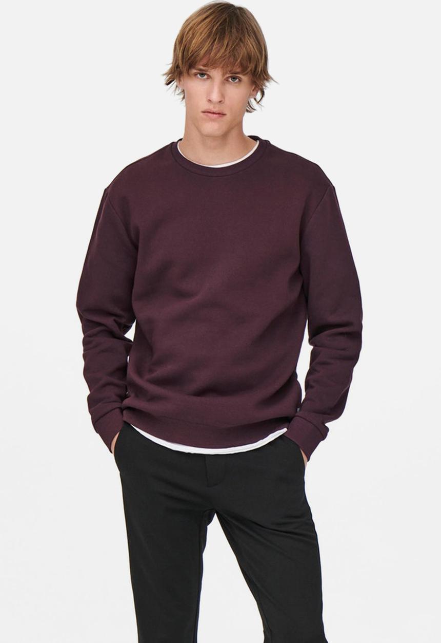Only & Sons - ONSCeres Crew Neck - Fudge