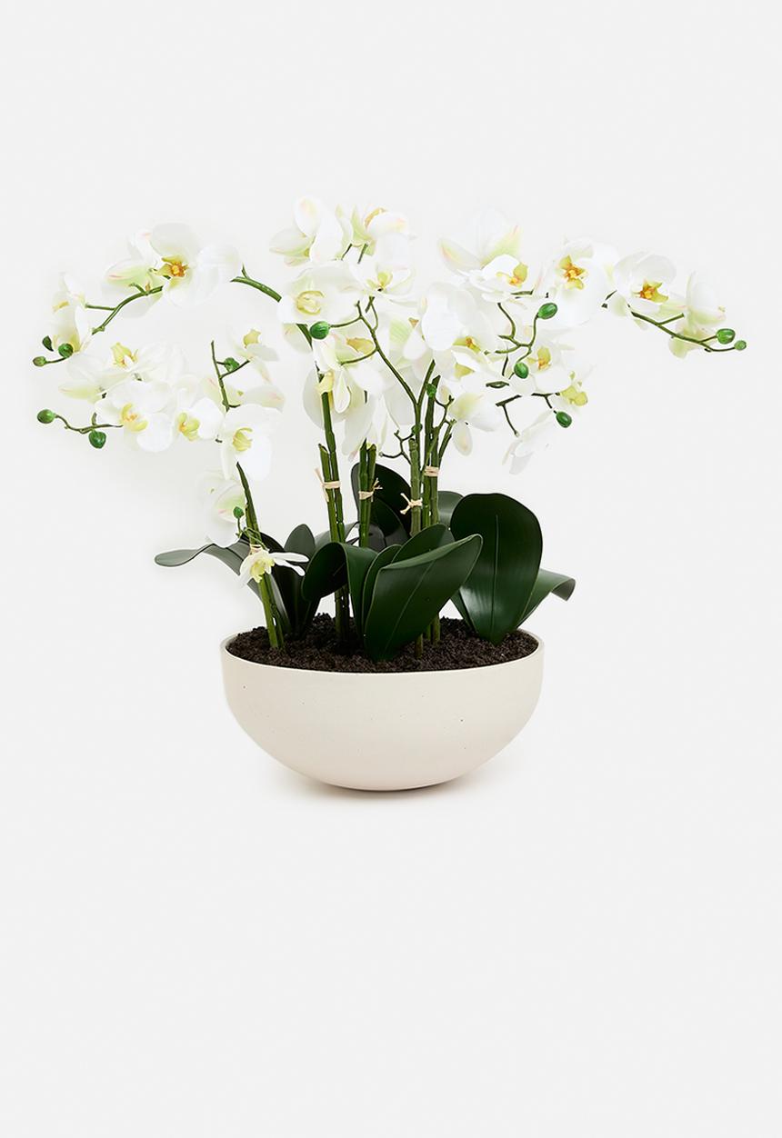 Silk By Design - White Phalaenopsis orchid arrangement - white