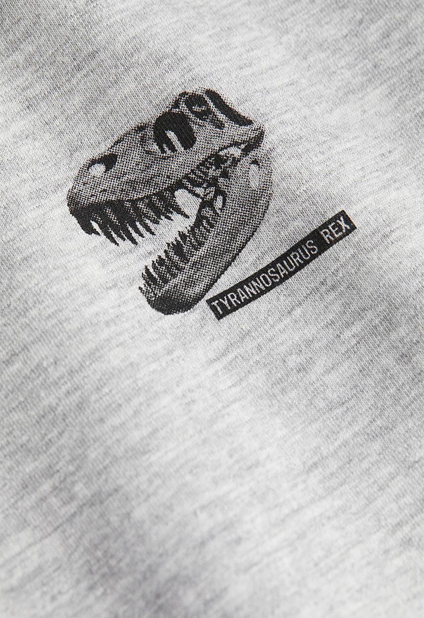 H&M - Cotton T-shirt - grey marl/t.rex