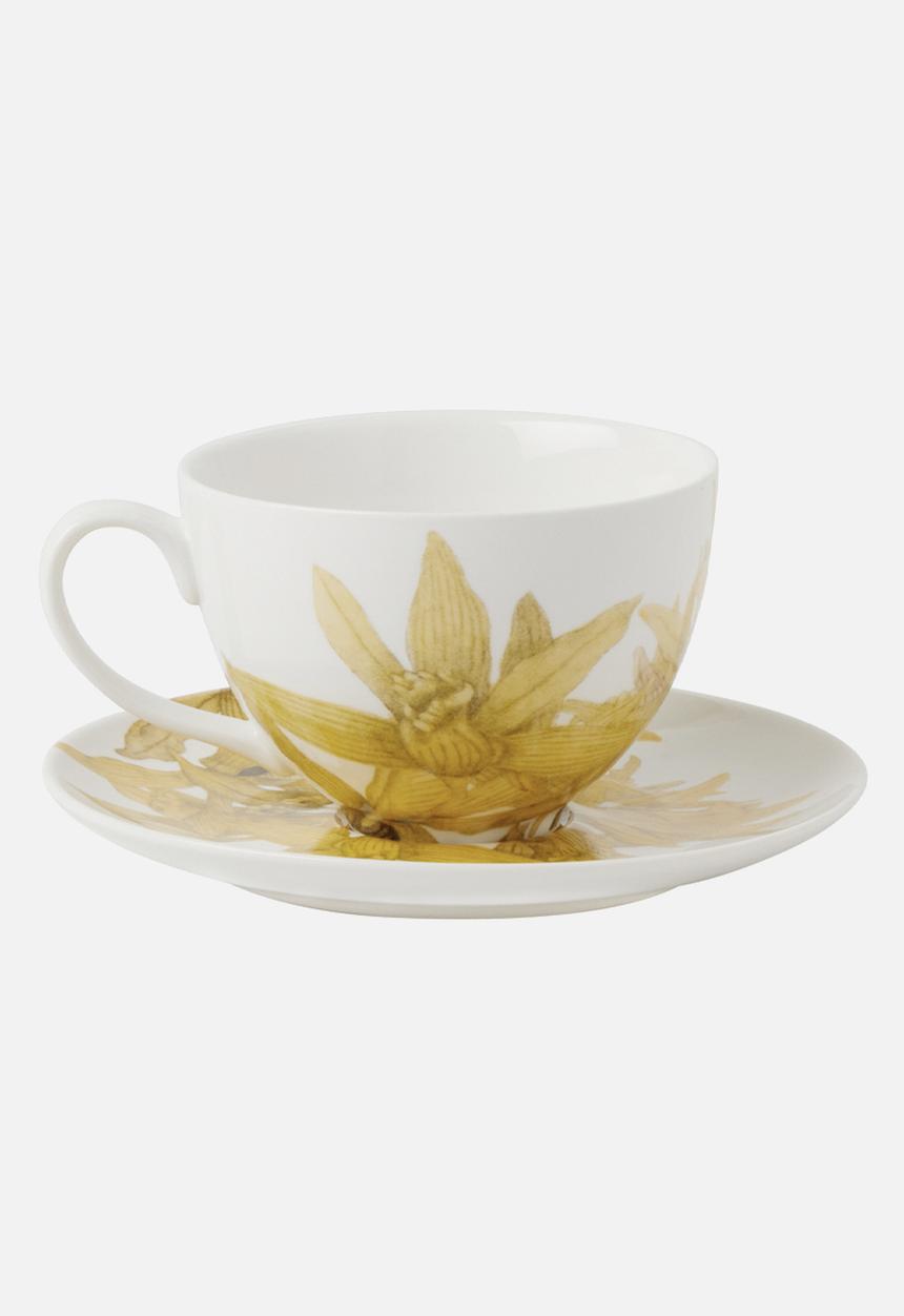 Maxwell & Williams - Royal botanic gardens cup & saucer - yellow