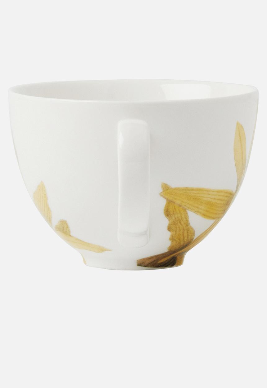 Maxwell & Williams - Royal botanic gardens cup & saucer - yellow