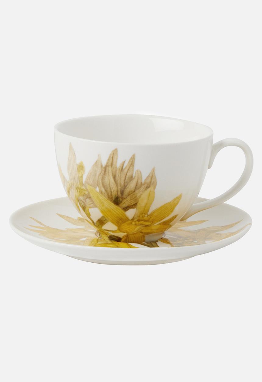 Maxwell & Williams - Royal botanic gardens cup & saucer - yellow