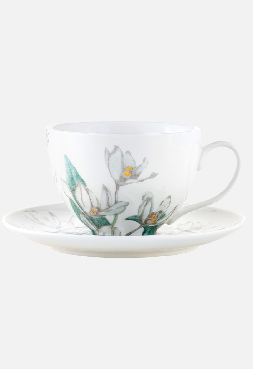 Maxwell & Williams - Royal botanic gardens cup & saucer - white