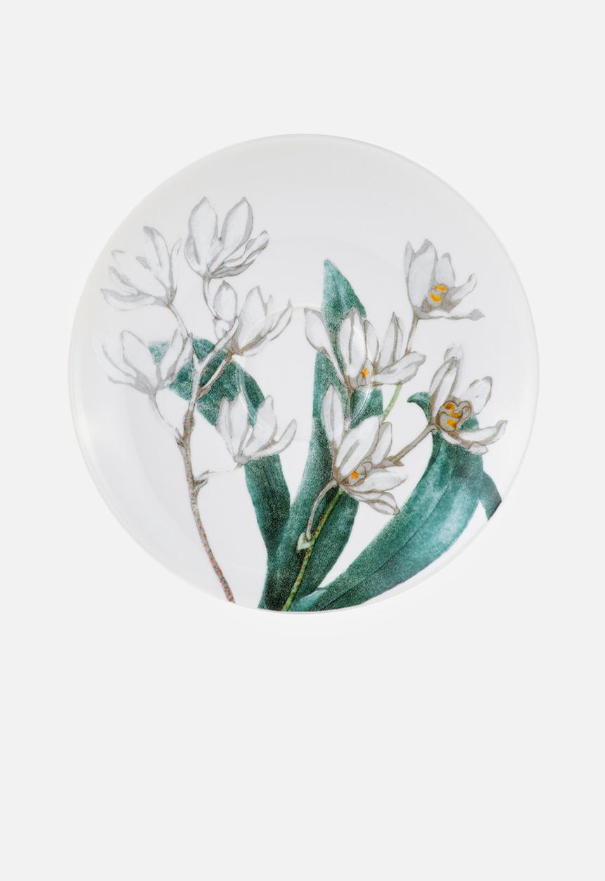 Maxwell & Williams - Royal botanic gardens cup & saucer - white