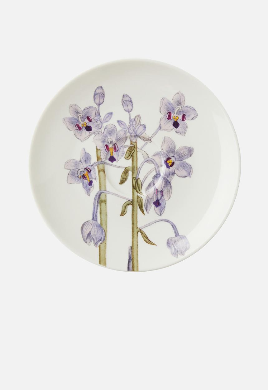 Maxwell & Williams - Royal botanic gardens cup & saucer - lilac