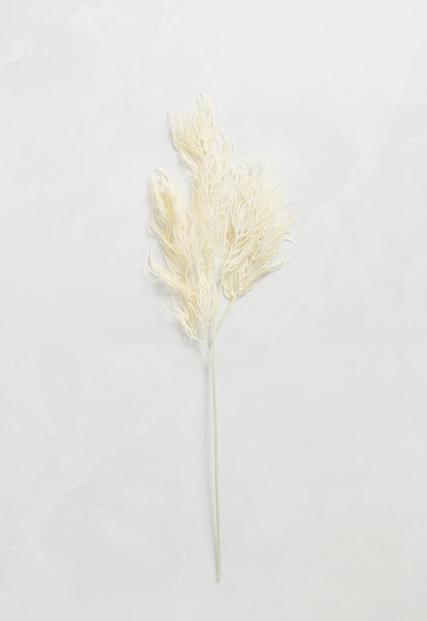 Present Time - Asparagus artificial fern stem - ivory