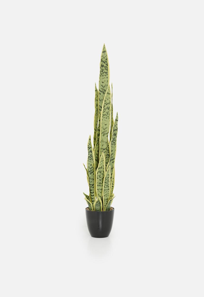 H&S - Artifical Sanseviera in pot