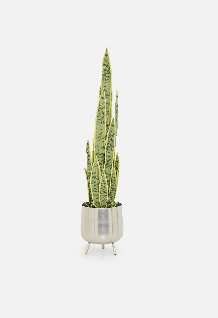 H&S - Artifical Sanseviera in pot