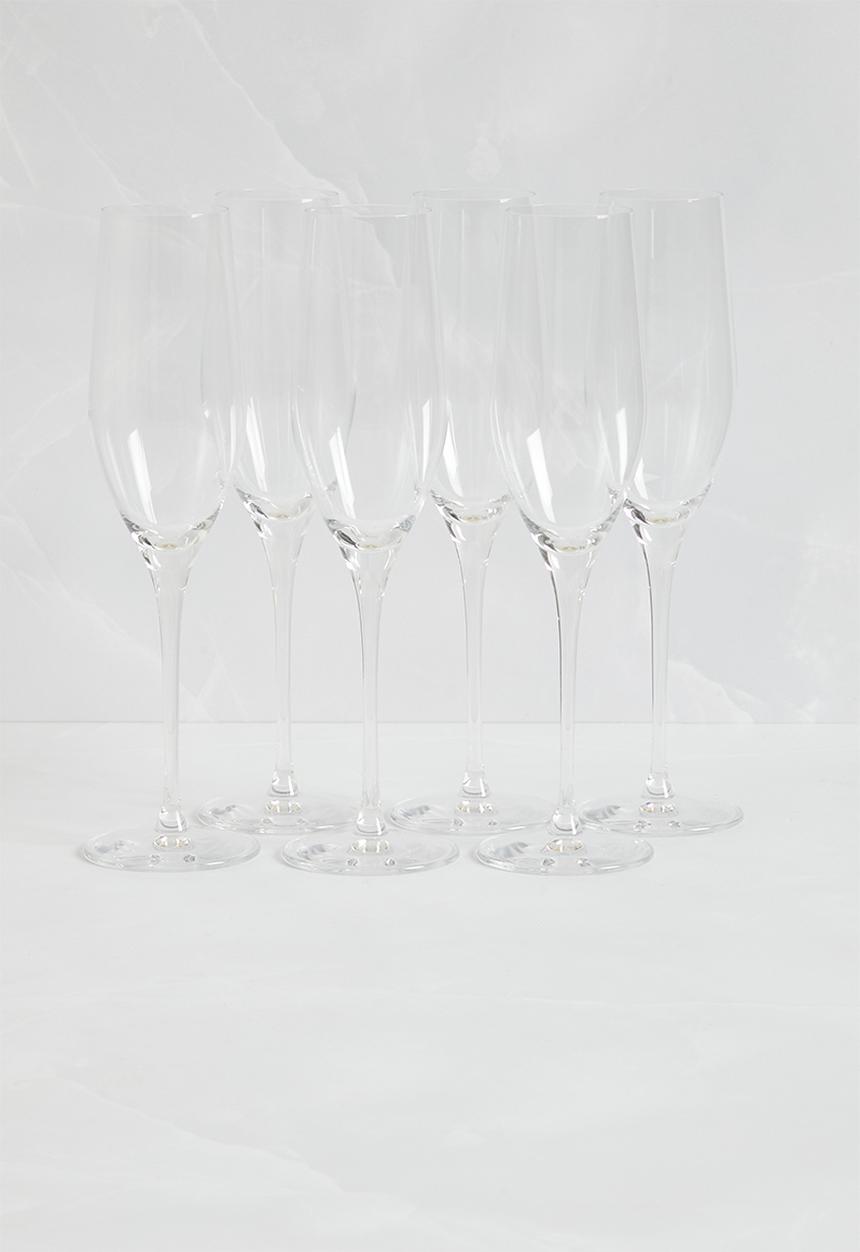 Sixth Floor - Vindera champagne glass set of 6 - Clear