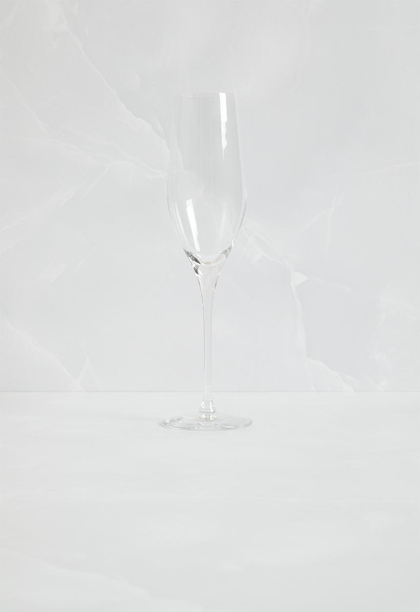 Sixth Floor - Vindera champagne glass set of 6 - Clear