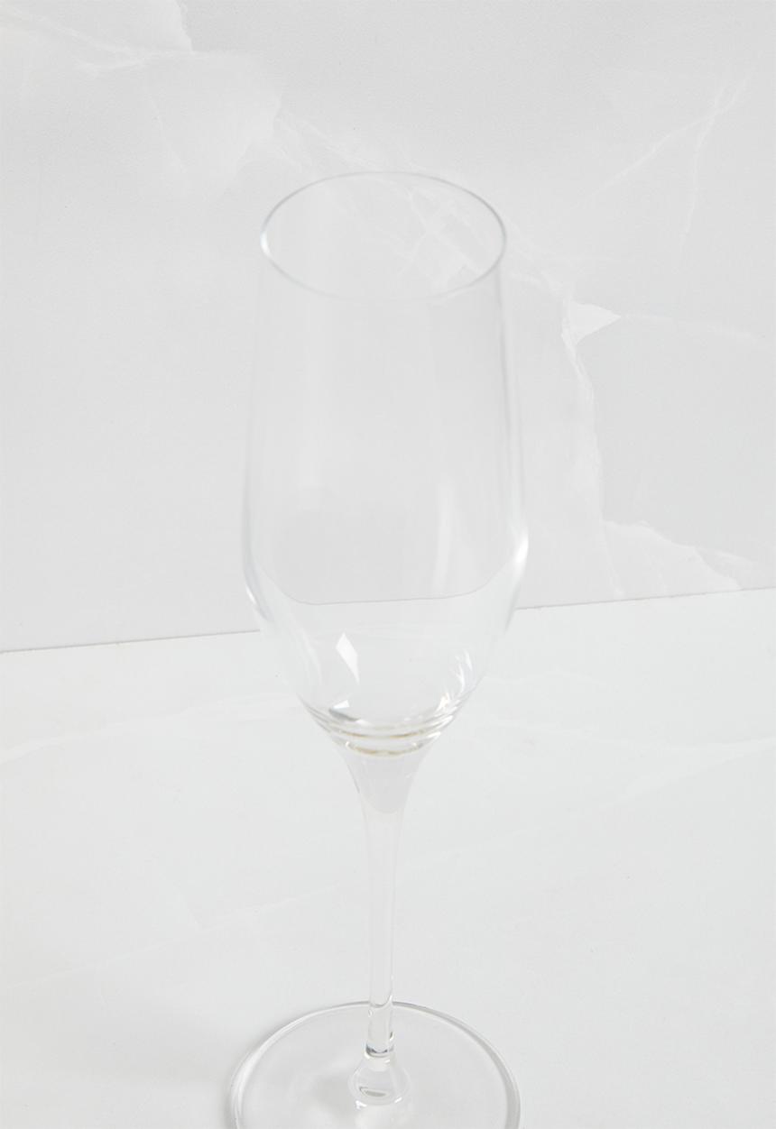 Sixth Floor - Vindera champagne glass set of 6 - Clear