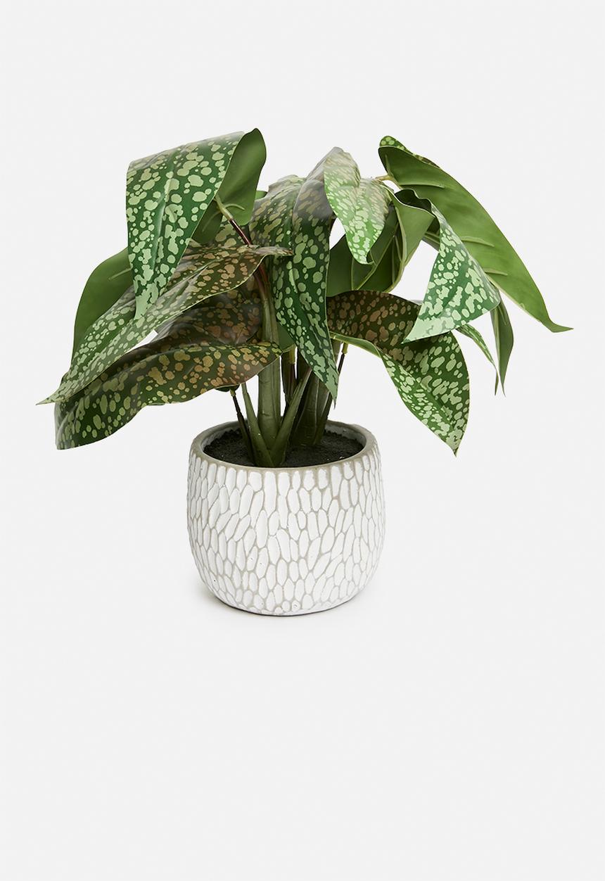 H&S - Artificial Syngonium in pot