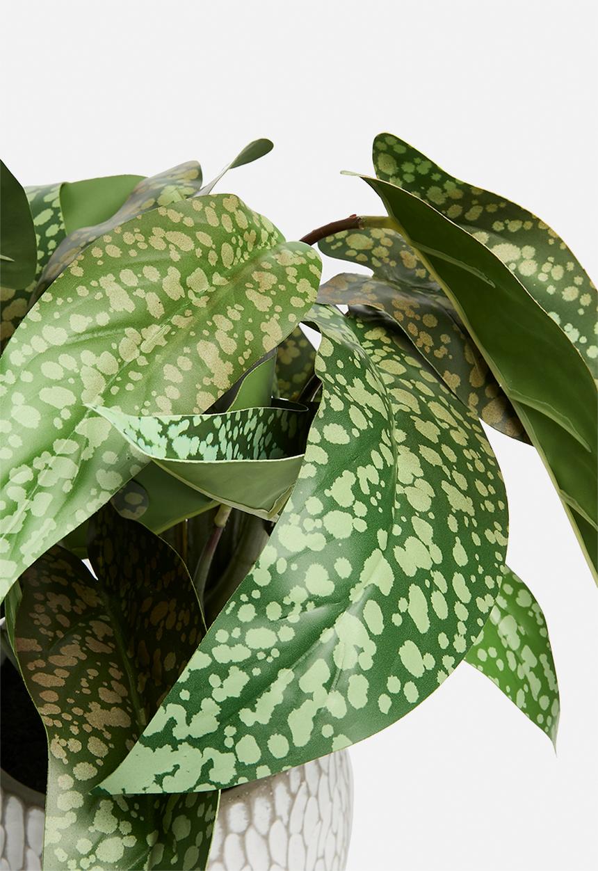 H&S - Artificial Syngonium in pot