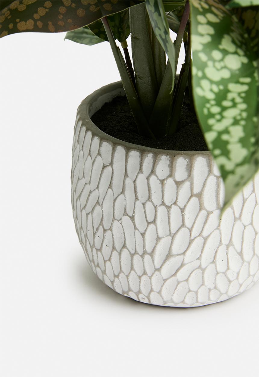 H&S - Artificial Syngonium in pot