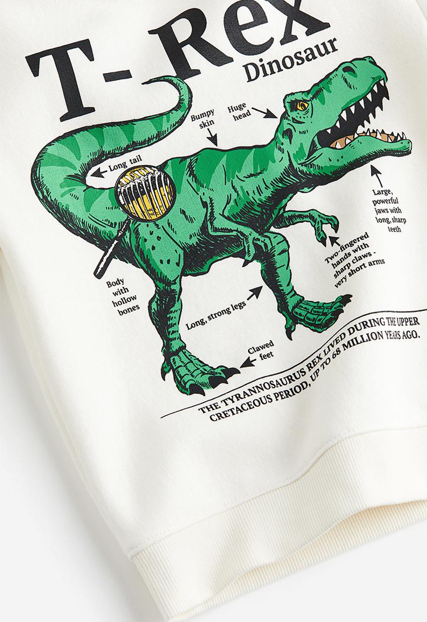 H&M - Sweatshirt - white & tyrannosaurus rex