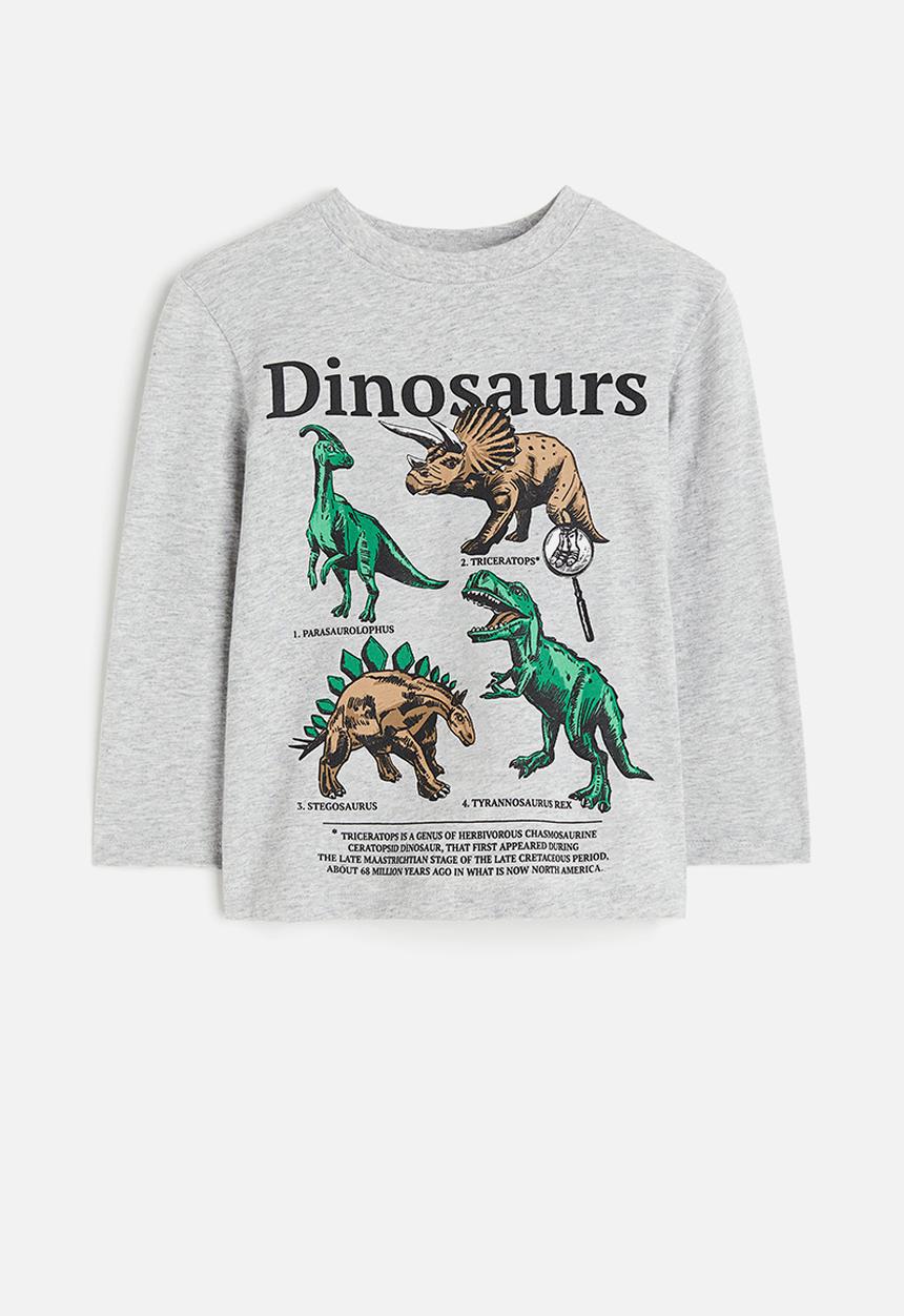 H&M - Long-sleeved t-shirt - grey