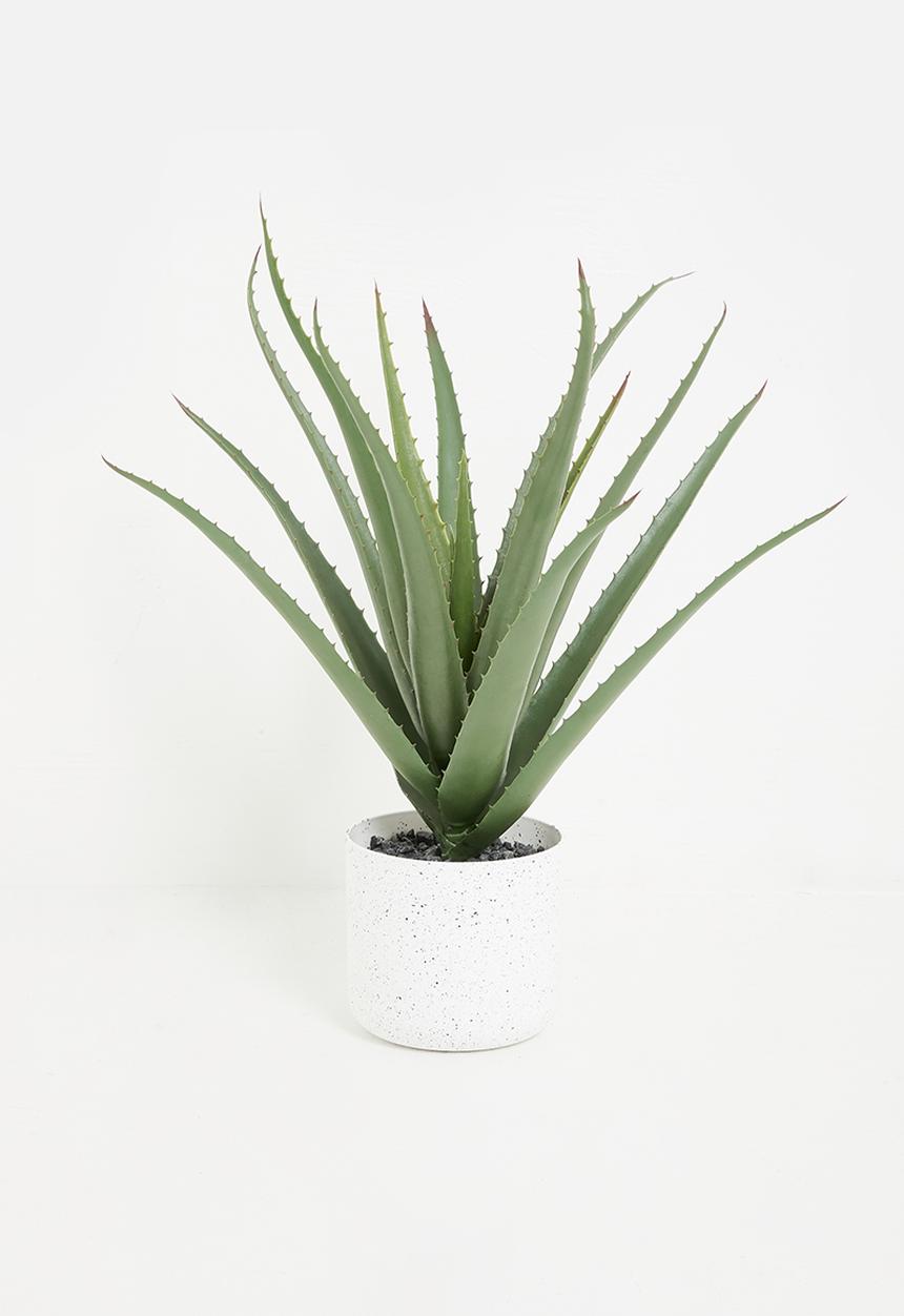 Sixth Floor - Aloe Artificial Plant - green