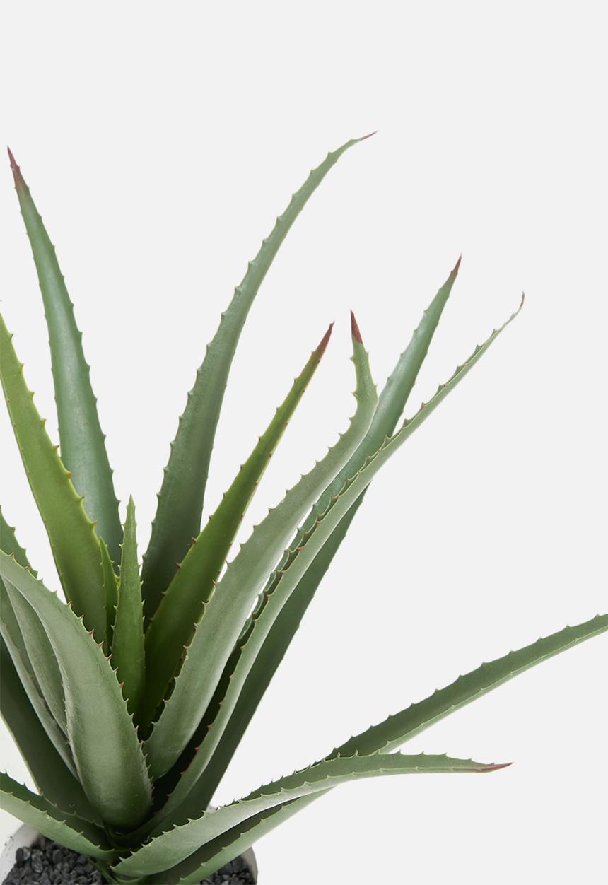 Sixth Floor - Aloe Artificial Plant - green