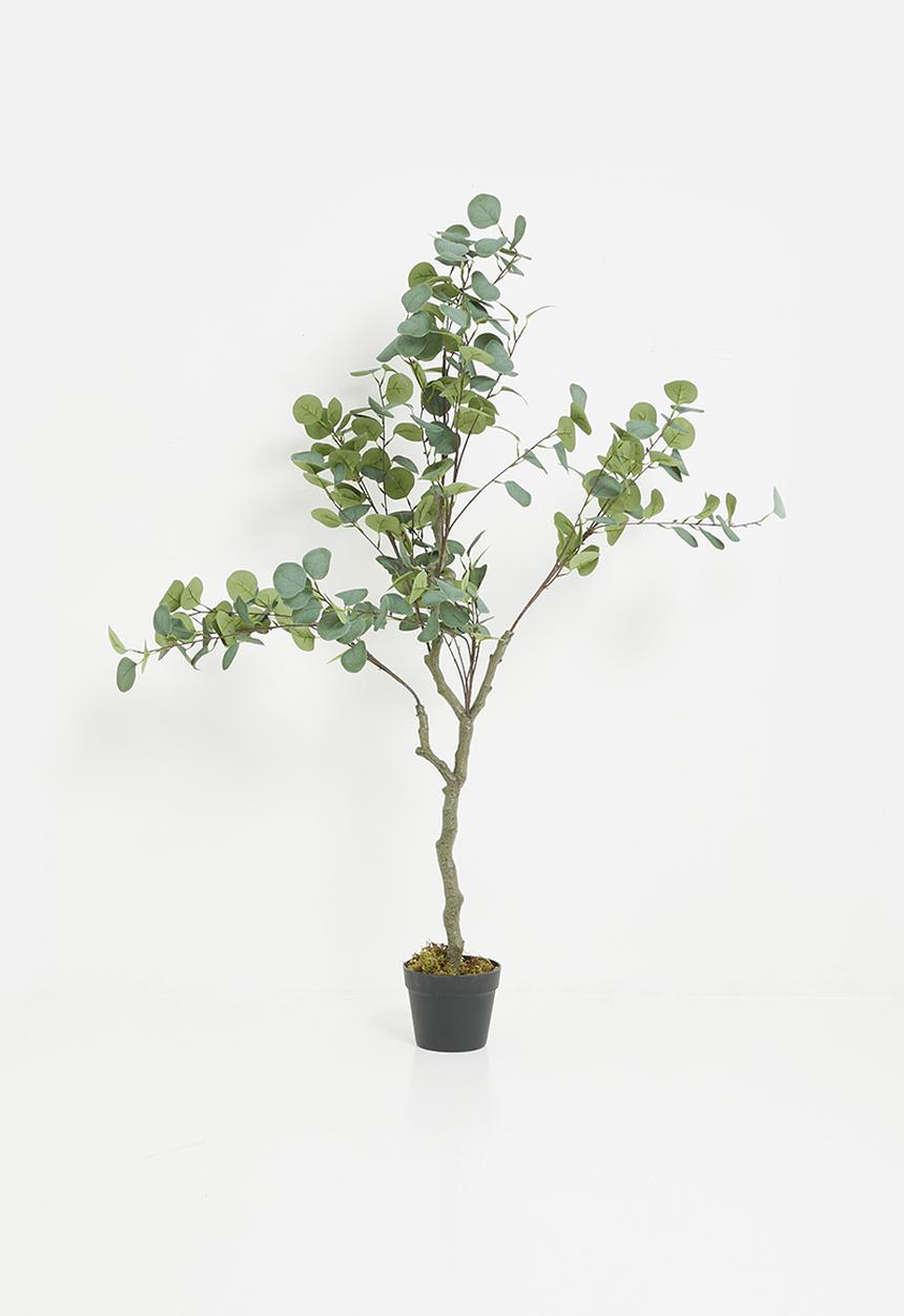 Sixth Floor - Eucalyptus Large Artificial Plant - green
