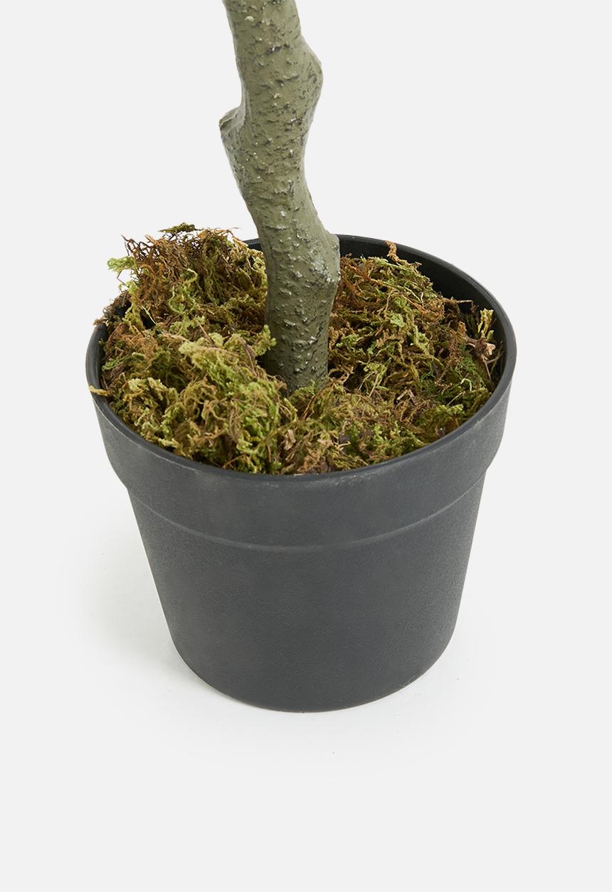 Sixth Floor - Eucalyptus Large Artificial Plant - green