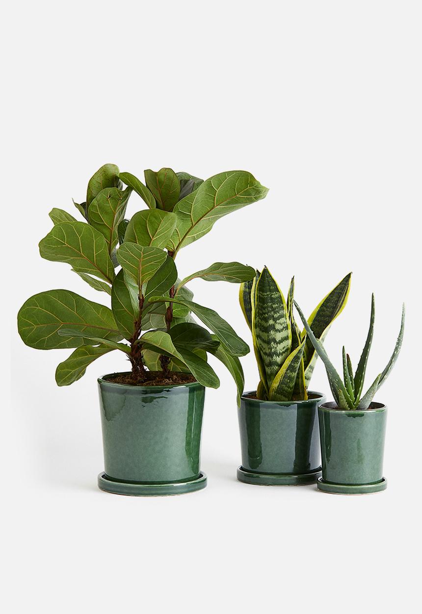 H&M - Plant pot and saucer - green