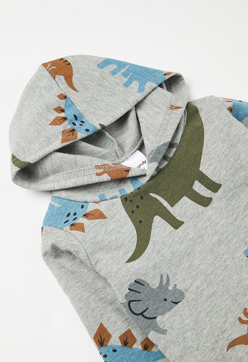 Pop Candy - Printed hooded track set - grey