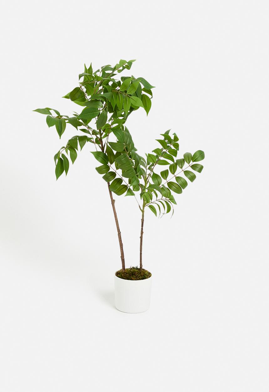 Sixth Floor - Wisteria Artificial Plant - green