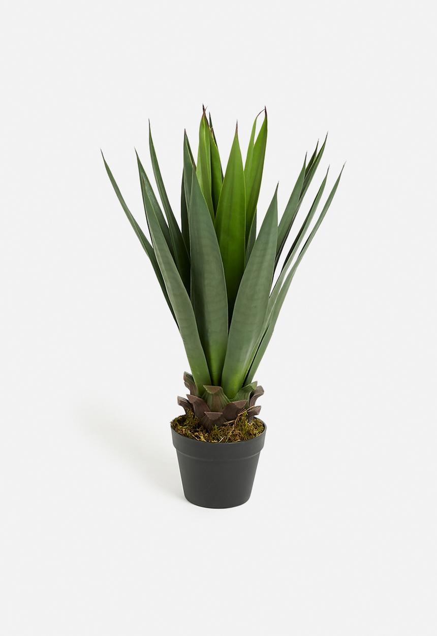 Sixth Floor - Yucca Artificial Plant - green