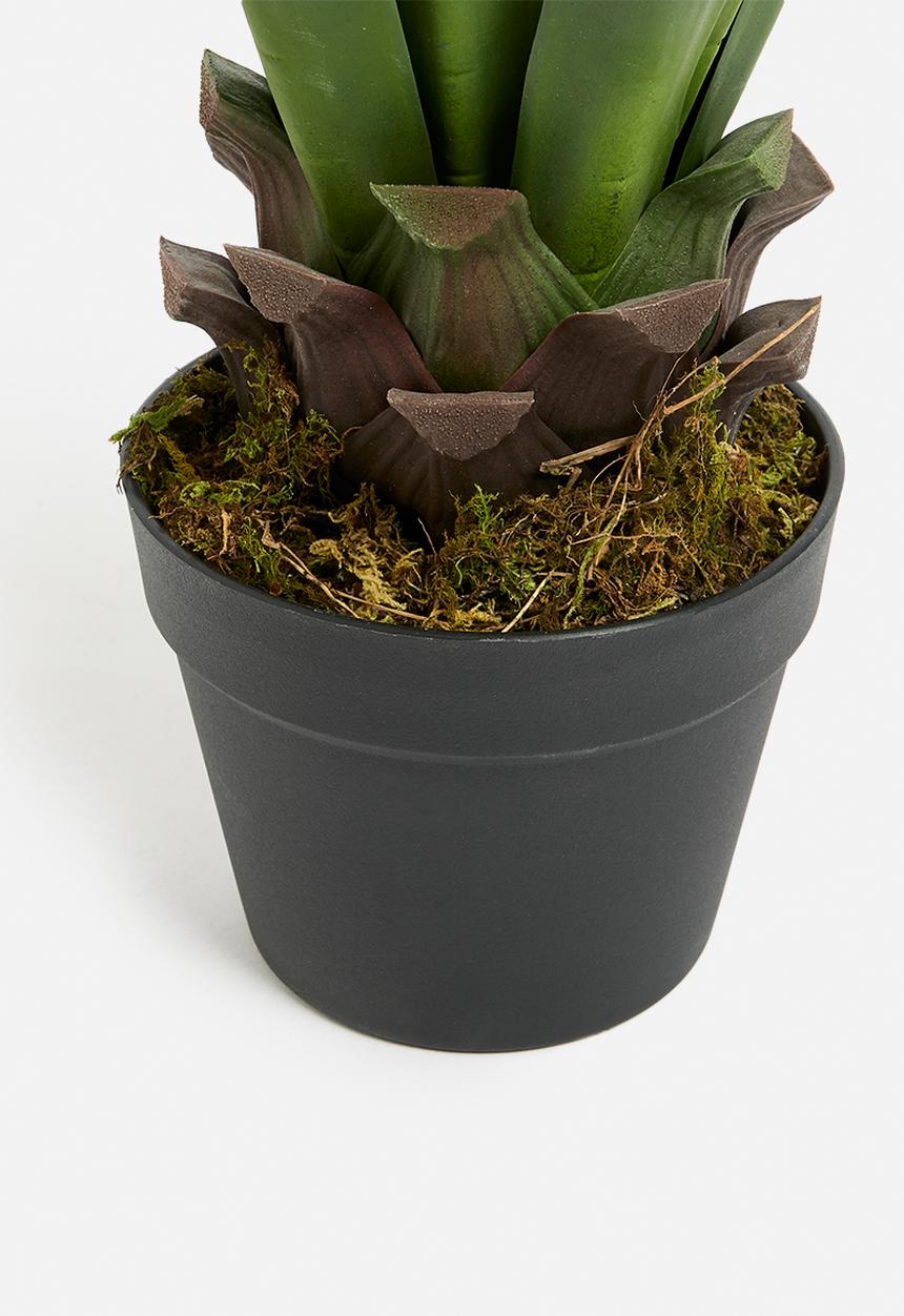 Sixth Floor - Yucca Artificial Plant - green