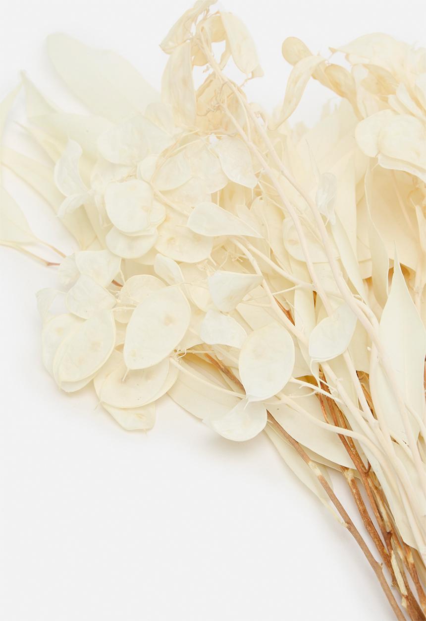 Bloom Space - Medium Dried Floral Arrangement - Bleached