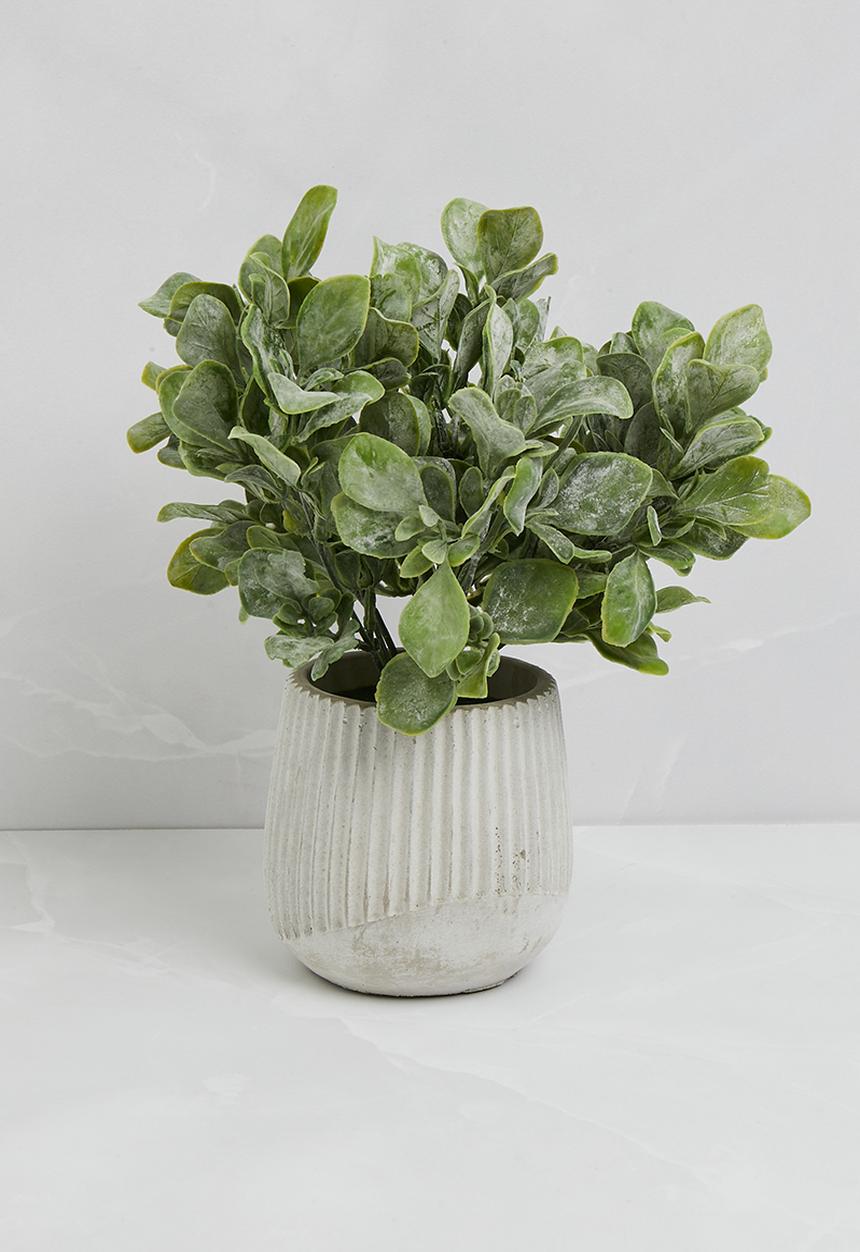 Sixth Floor - Jamsine Leaf Artificial Plant Ceramic pot