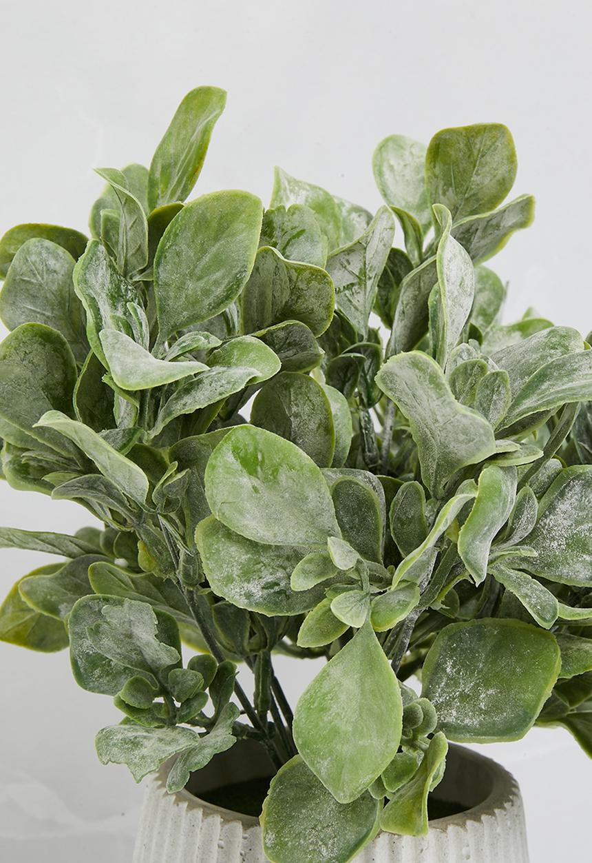 Sixth Floor - Jamsine Leaf Artificial Plant Ceramic pot