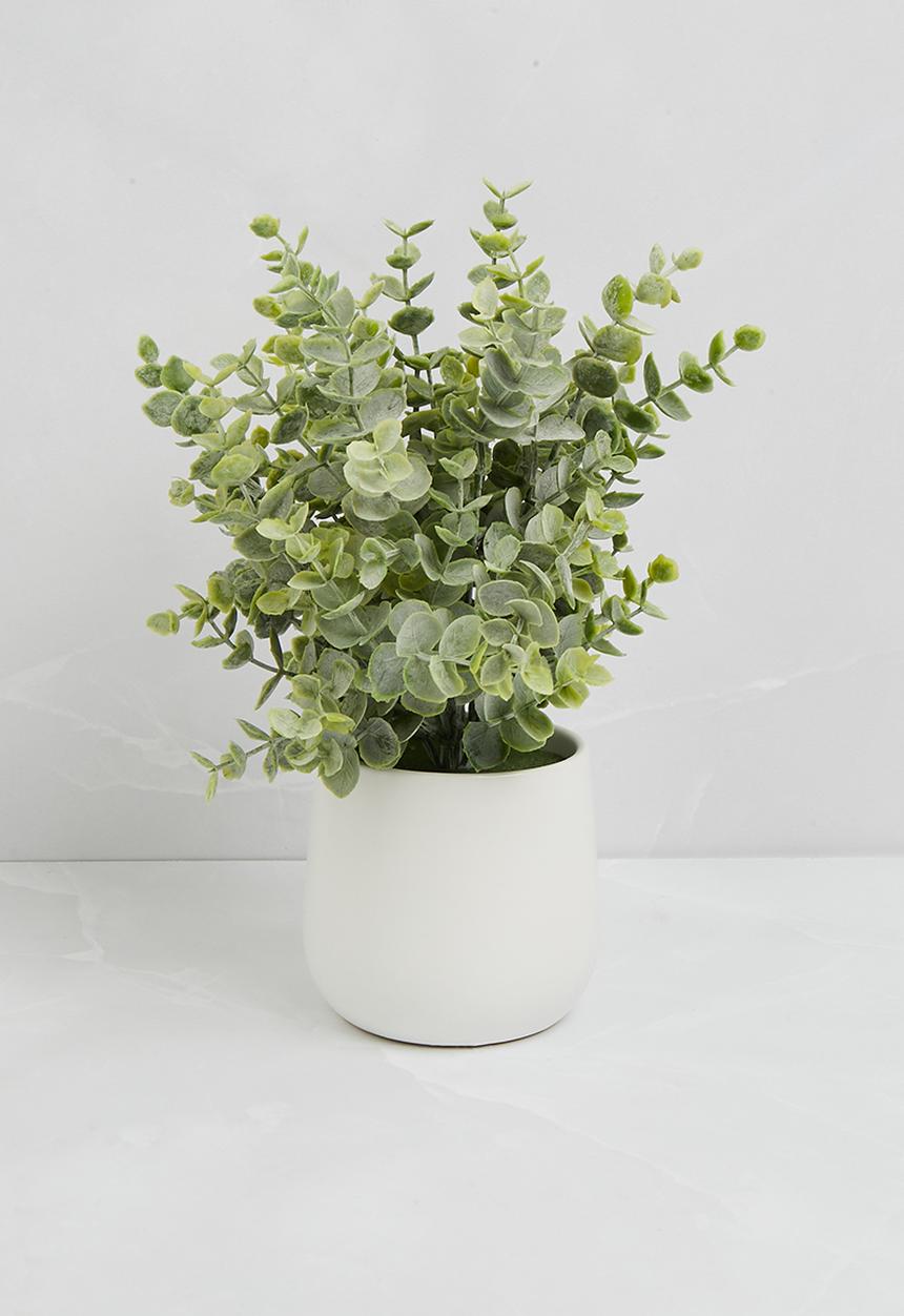 Sixth Floor - Artifical plant ceramic white cermaic pot
