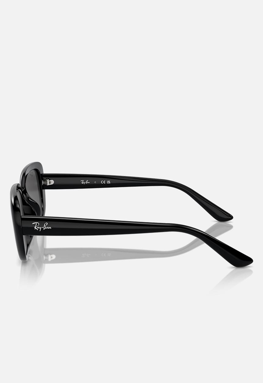 Ray-Ban - 0RB4421D Core - Black