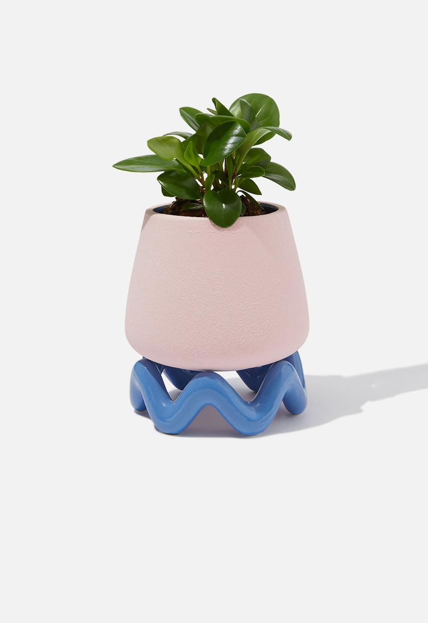 Typo - 2 Piece Planter - Ballet Blush