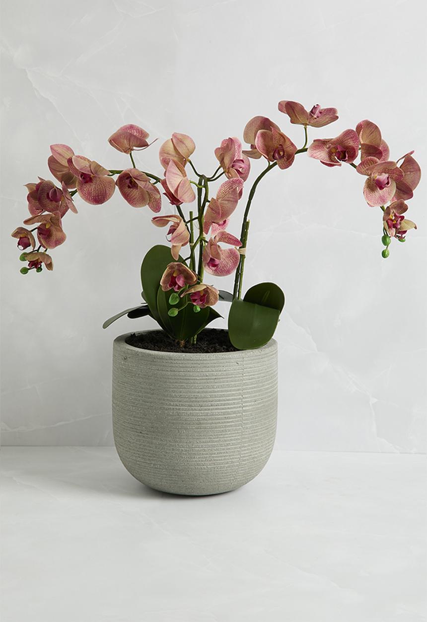 Silk By Design - 3  Stem phalaenopsis orchid arrangement - peach
