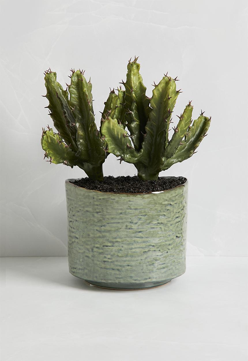 Silk By Design - Potted cactus  - green
