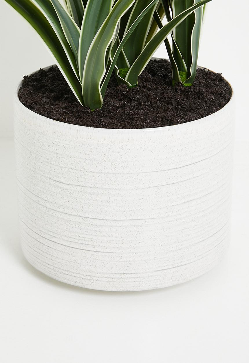 Silk By Design - Potted sanseviera - green