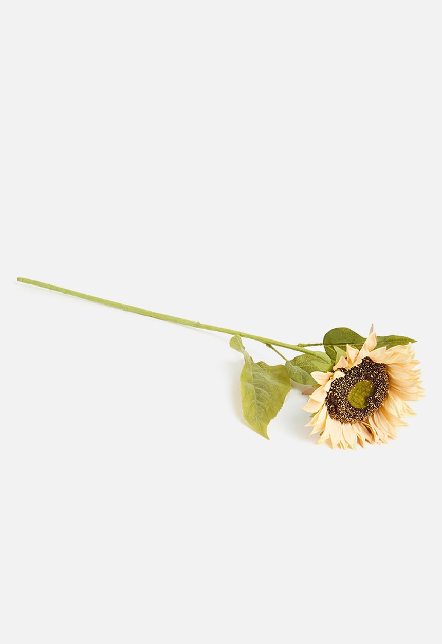 Sixth Floor - Sunflower-cream