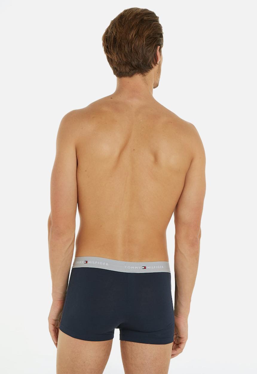Tommy Hilfiger - 3 Pack WB Trunk - Multi