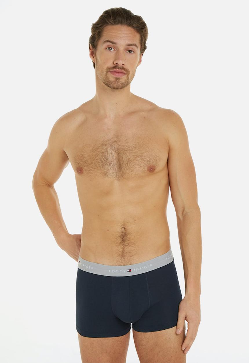 Tommy Hilfiger - 3 Pack WB Trunk - Multi