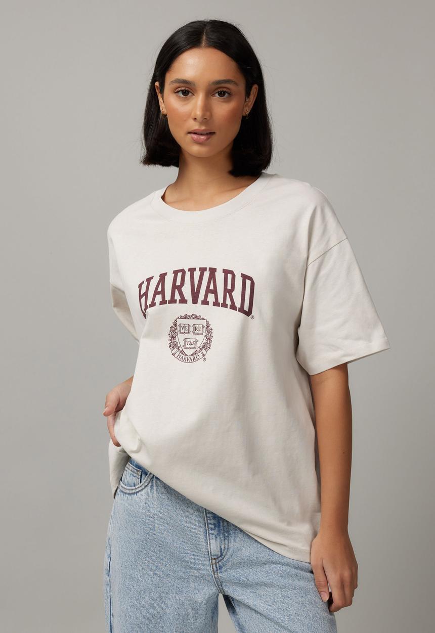Factorie - Har Baggy Graphic Tee - Lcn Har Dove Grey/Harvard