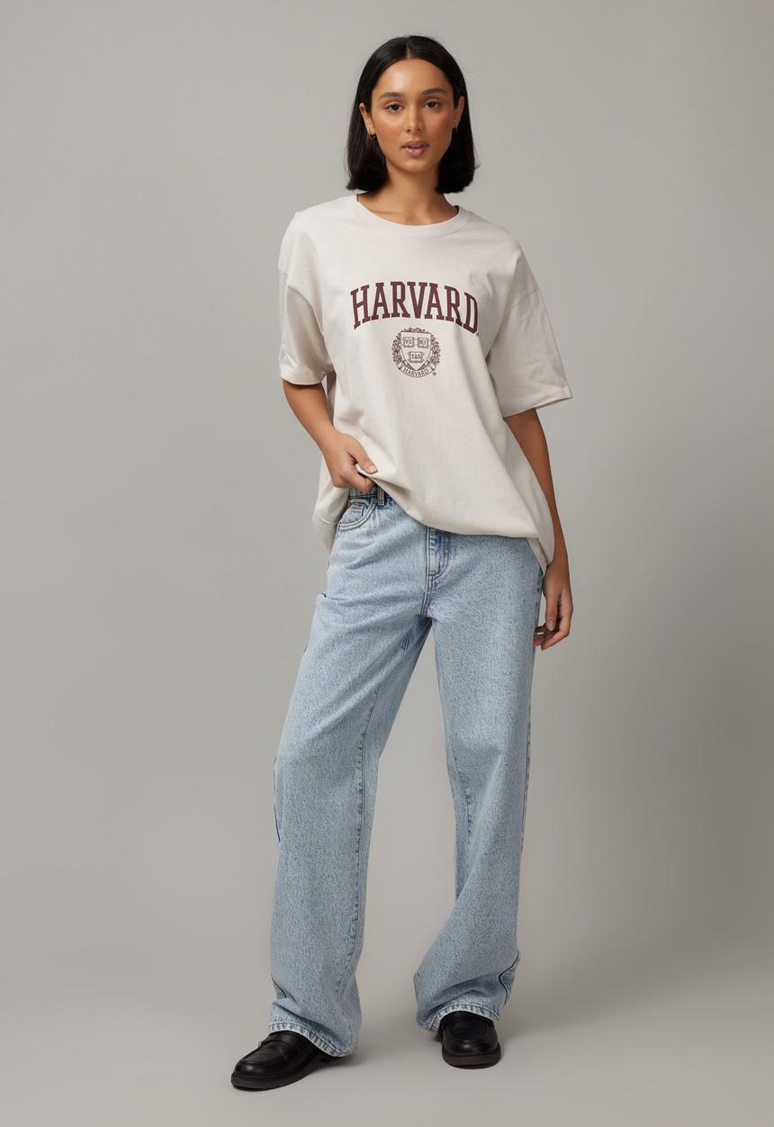Factorie - Har Baggy Graphic Tee - Lcn Har Dove Grey/Harvard