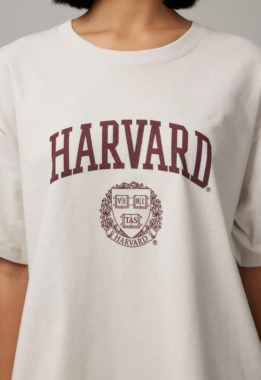 Factorie - Har Baggy Graphic Tee - Lcn Har Dove Grey/Harvard