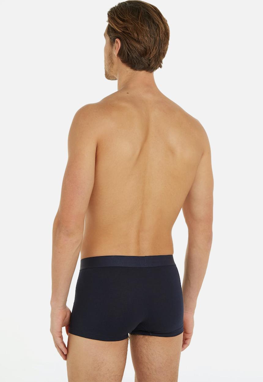Tommy Hilfiger - 3 pack TRUNK WB - Des Sky/Grey Htr/Des Sky