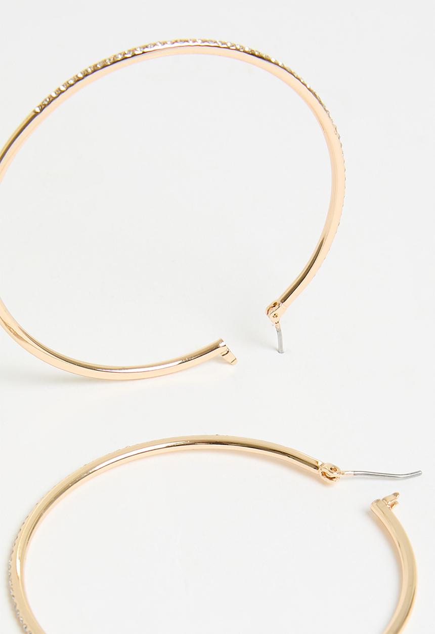 ALDO - Eryi hoop earrings - gold