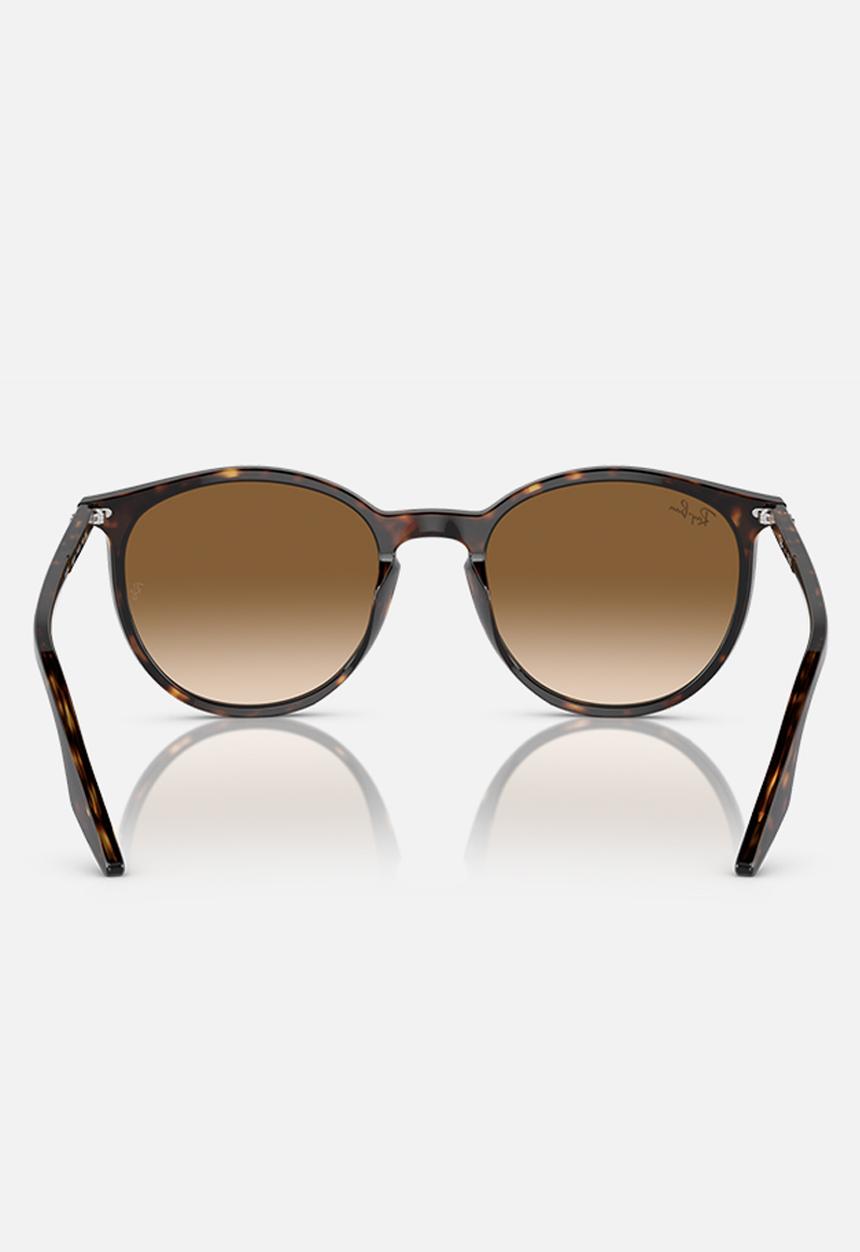 Ray-Ban - 0RB2204 51mm - brown