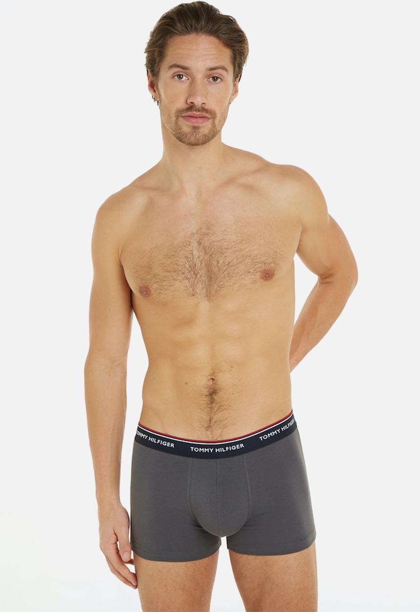 Tommy Hilfiger - 3P TRUNK - Blue Spell/Anchor Blue/Dark Ash