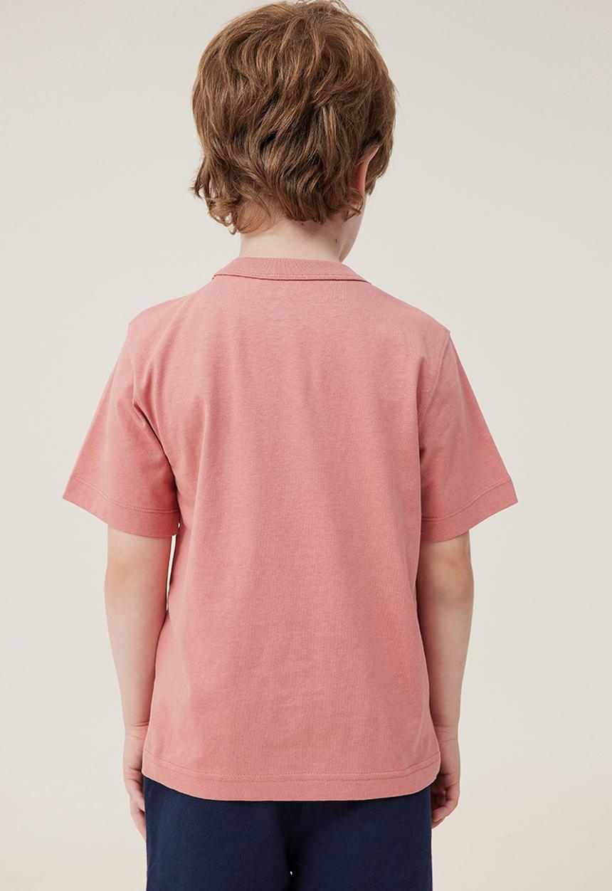 Cotton On - Jonny short sleeve graphic print tee - clay pigeon/chill out