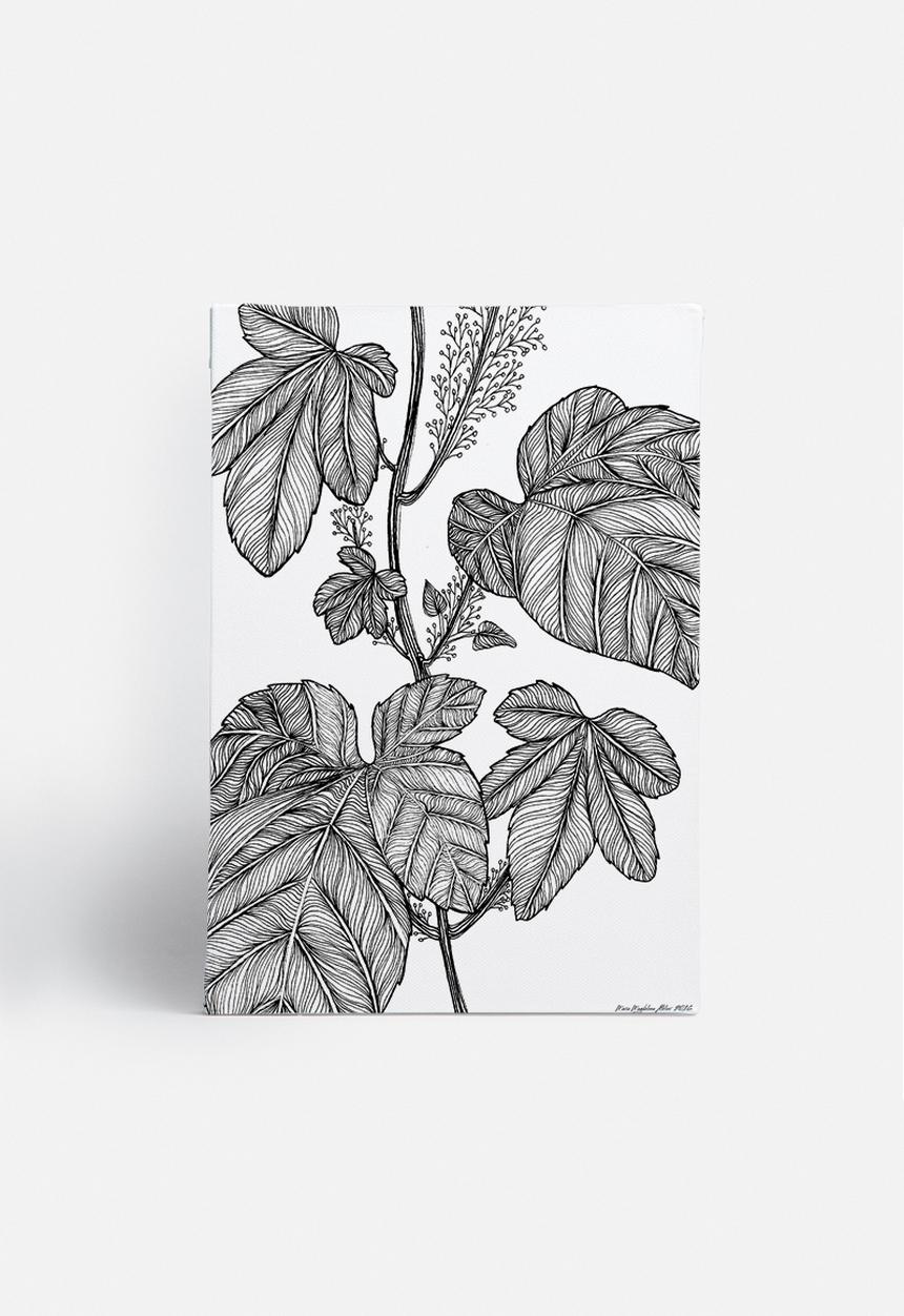 Maria Magdalena Van Wyk - Foliage